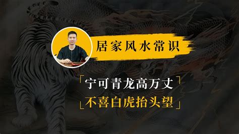 宁可青龙高万丈|俗语“宁让青龙高万丈，不让白虎抬头望”，到底啥意思，长见识了